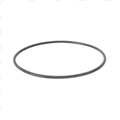 Picture of O-Ring