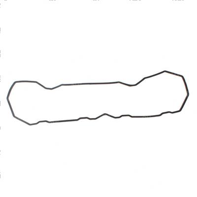 Picture of Gasket