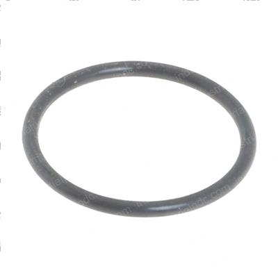 Picture of O-Ring