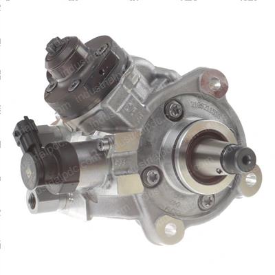 Picture of Pumphigh Press