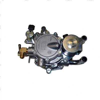 Picture of Regulator Assembly - Lpg