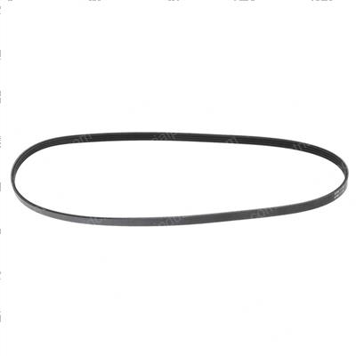 Picture of Belt - Serpentine