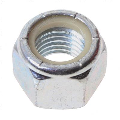 Picture of Nut