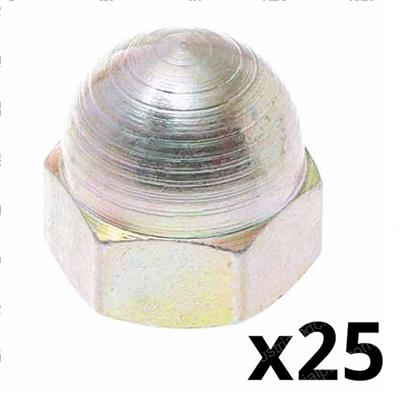 Picture of Nut-Sp Acorn5/16-18uncb633-100