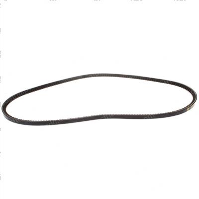 Picture of Alternator Belt