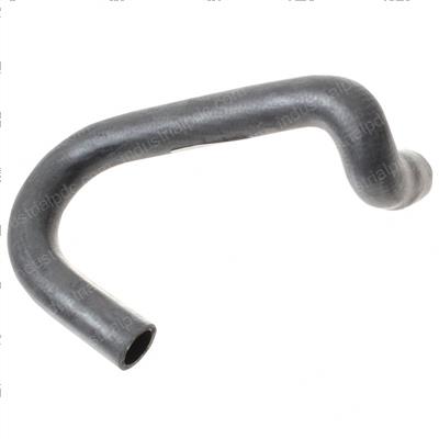 Picture of Lower Radiator Hose
