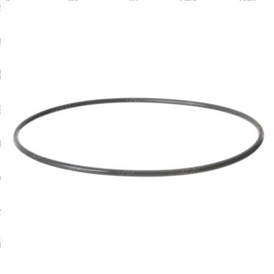 Picture of O-Ring