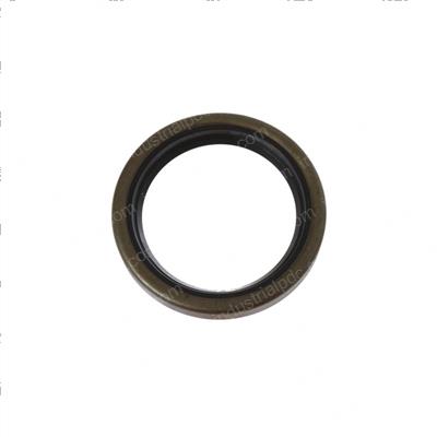 Picture of Seal