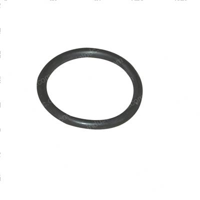 Picture of O-Ring