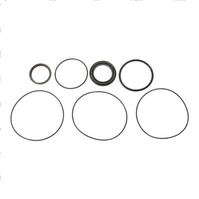 Picture of Seal Kit - Motor