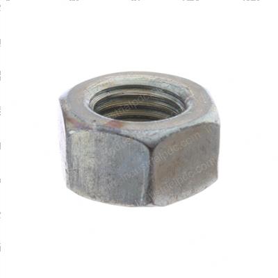 Picture of Nut,full