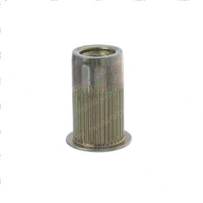 Picture of Insert-1/4-20 Unc