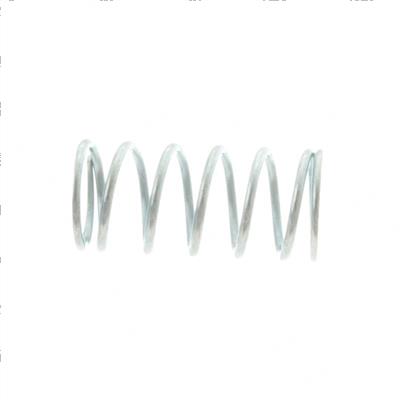 Picture of Spring - Idle Screw