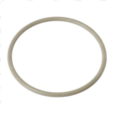 Picture of O-Ring