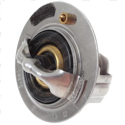 Picture of Cg13-Thermostat Assembly