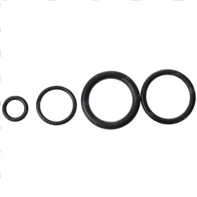 Picture of Injector + Pressure Reg O-Ring