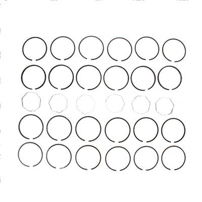 Picture of Ring Set - .040