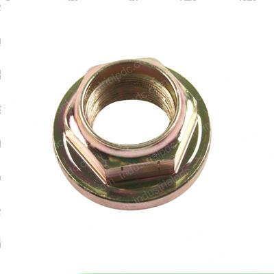 Picture of Nut
