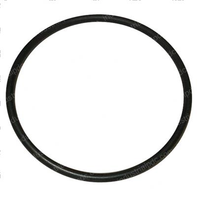 Picture of O-Ring