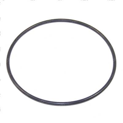 Picture of O-Ring