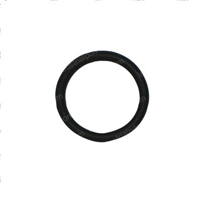 Picture of O-Ring