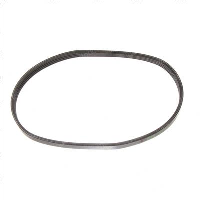 Picture of Belt - Serpentine