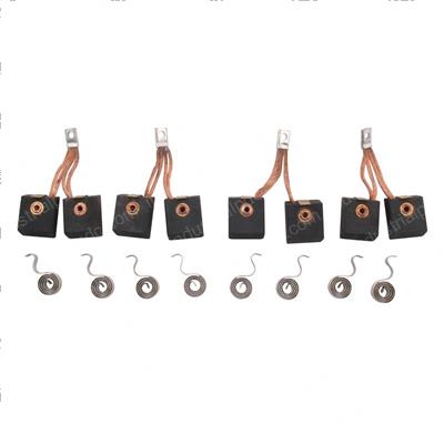 Picture of Brush Pair - Sring Kit - 4/8