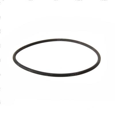 Picture of O-Ring