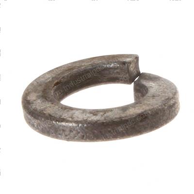 Picture of Washer-Lock 5/16 Split Zp