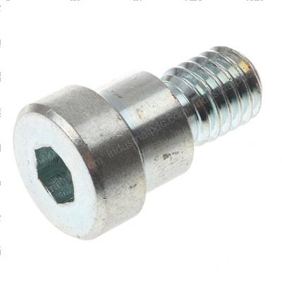 Picture of Scr-Hss 1/2 Dia X .31 Zp