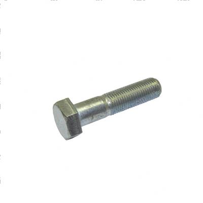 Picture of Bolt