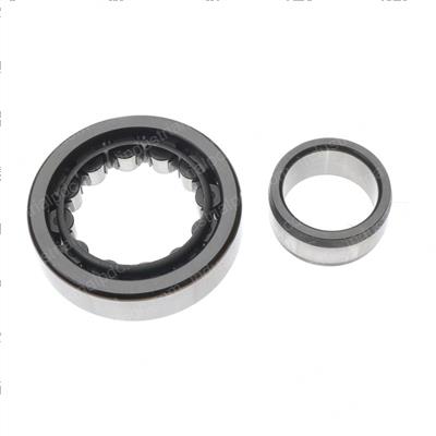 Picture of Bearing - Roller