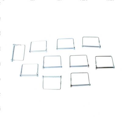 Picture of Pin  Snapper-Qty   10 Pie