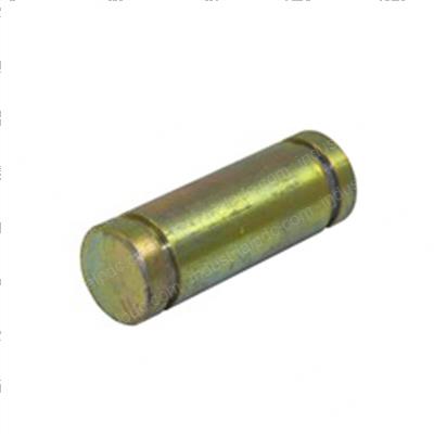 Picture of Pin