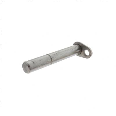 Picture of Pin Headed Bottom