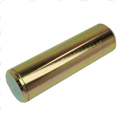Picture of Pin- 60.03 X 211.00