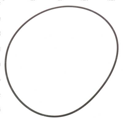 Picture of O-Ring