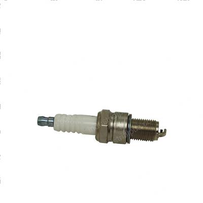 Picture of Plug - Spark