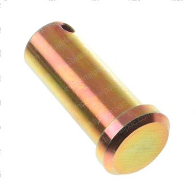 Picture of Pinclevis (coded)-Flat Head