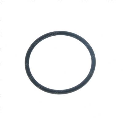 Picture of O-Ring