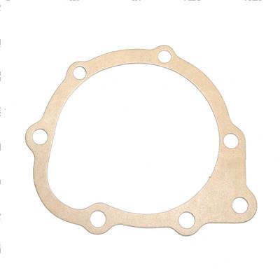 Picture of Gasket