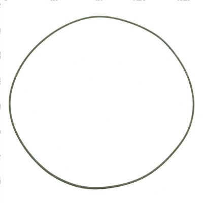 Picture of O-Ring