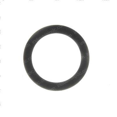 Picture of Shim-0.381