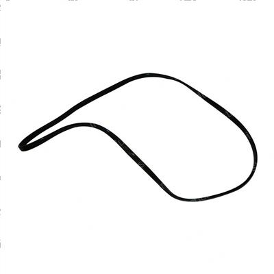 Picture of Gasket