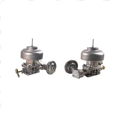 Picture of Carburetor