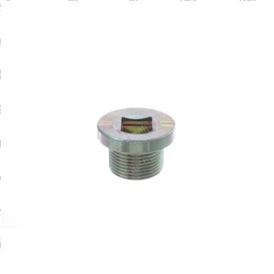 Picture of Drain Plug