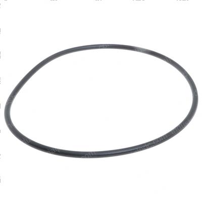 Picture of O-Ring