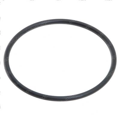 Picture of O-Ring