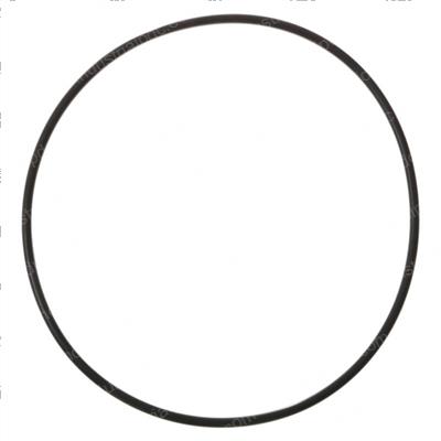 Picture of O-Ring