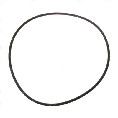 Picture of O-Ring